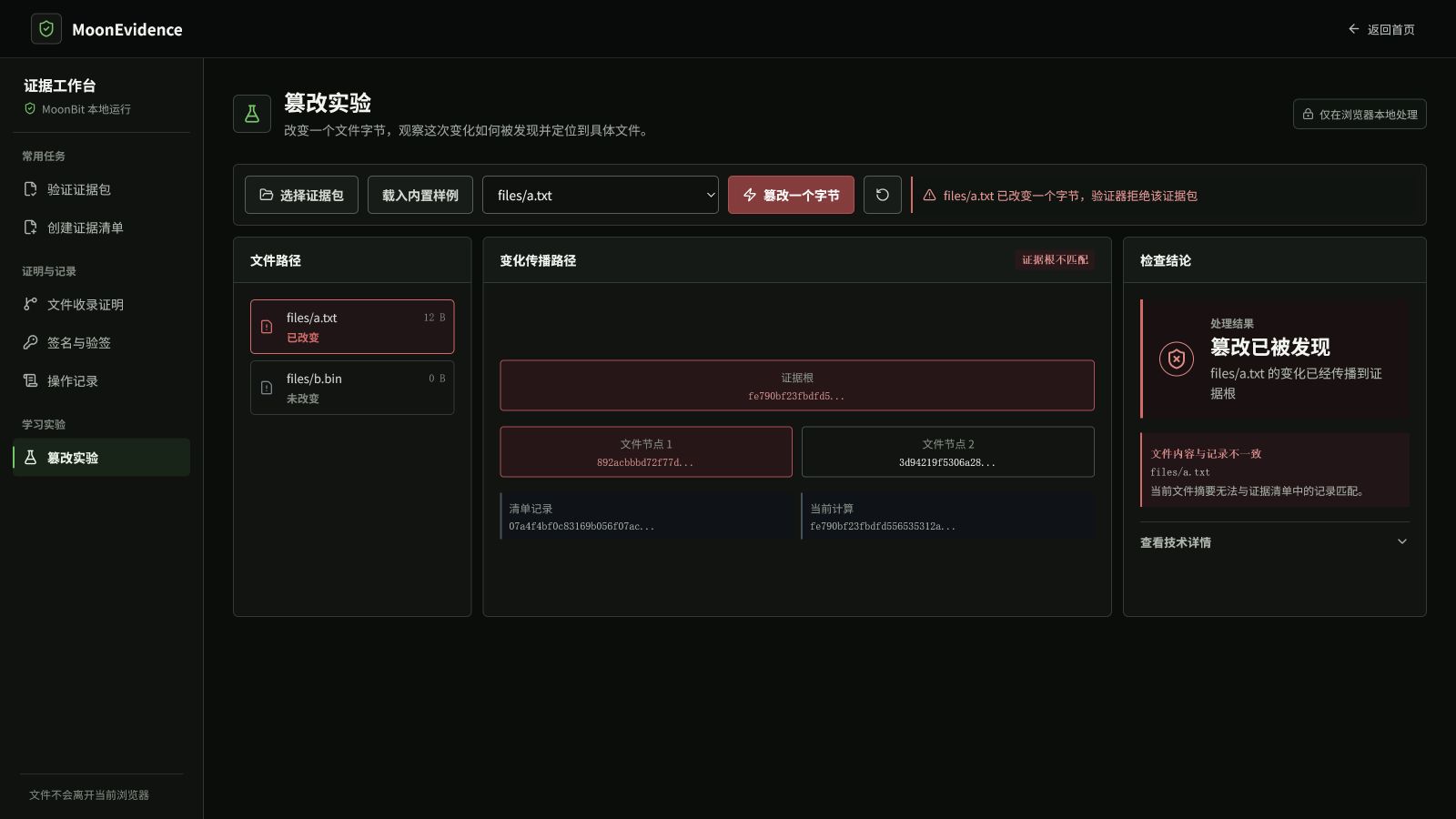 MoonEvidence 验证工作台